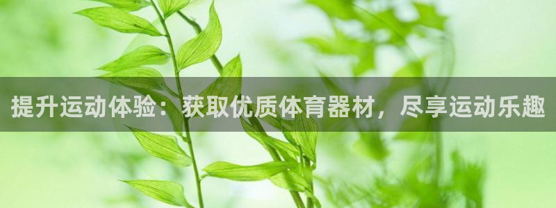极悦官方网站入口网址大全：提升运动体验：获取优质体育