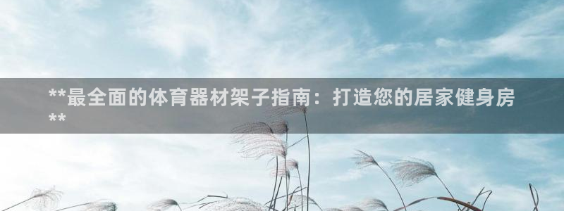 极悦平台官网登录入口手机版：**最全面的体育器材架子