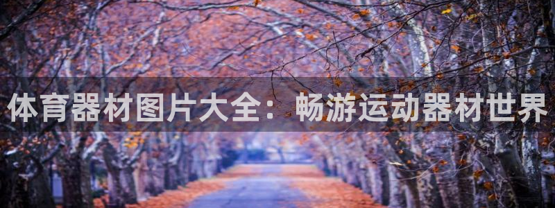 极悦娱乐创始人背景故事介绍：体育器材图片大全：畅游运