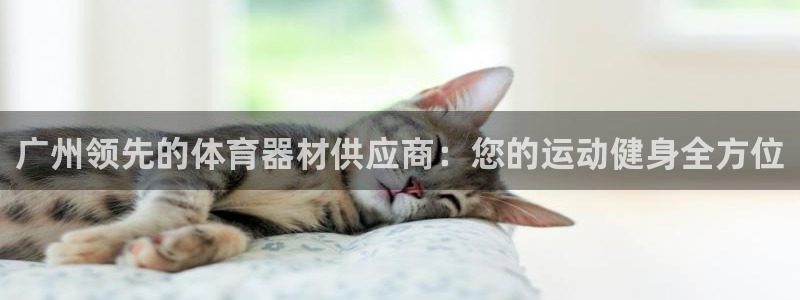 极悦平台注册资金多少亿：广州领先的体育器材供应商：您