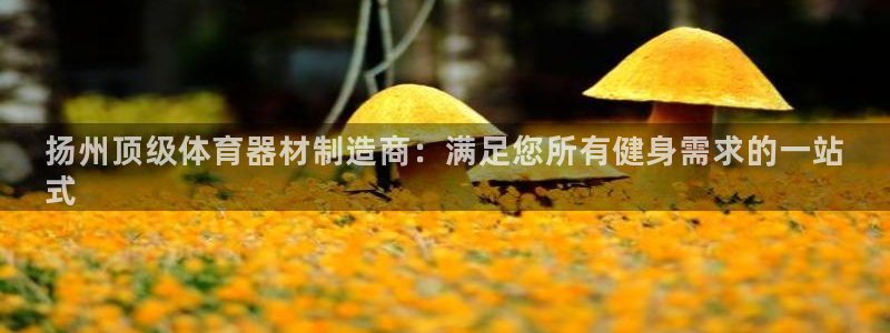 极悦平台注册流程图：扬州顶级体育器材制造商：满足您所
