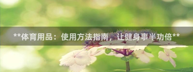 极悦平台官方网址查询：**体育用品：使用方法指南，让