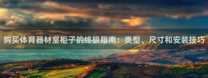 苏州极悦信息科技有限公司：购买体育器材室柜子的终极指