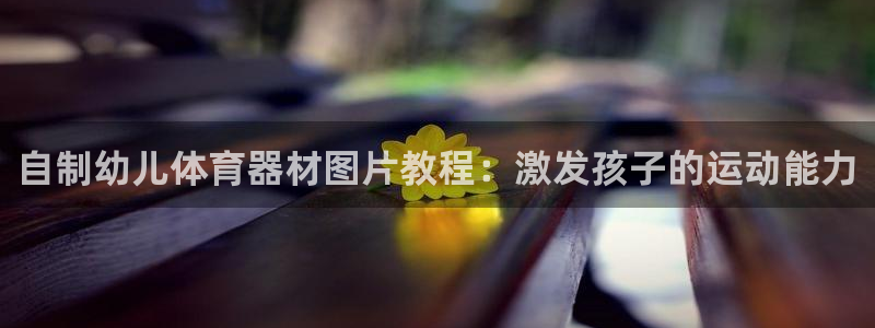 极悦平台app二维码怎么弄出来：自制幼儿体育器材图片