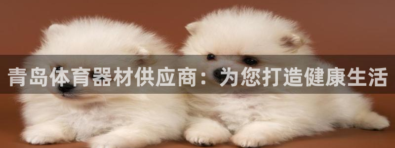 极悦官网的登录方法是什么：青岛体育器材供应商：为您打