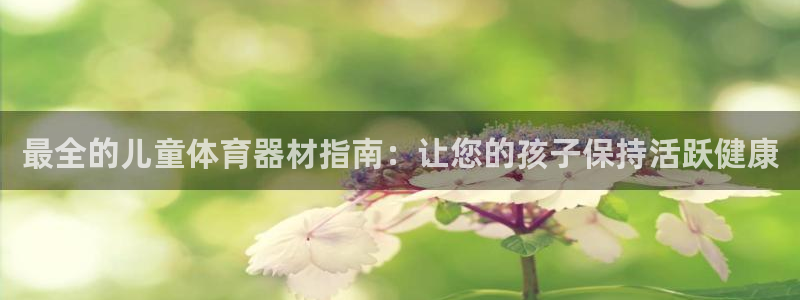 极悦平台是干嘛的公司：最全的儿童体育器材指南：让您的