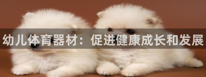 极悦娱乐最新版本更新内容分享：幼儿体育器材：促进健康