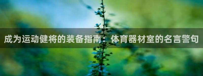 极悦娱乐官网最新版本更新内容下载：成为运动健将的装备