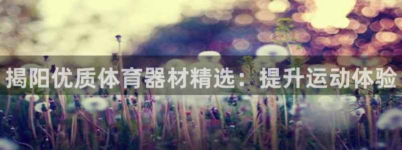 极悦官网的登录方法：揭阳优质体育器材精选：提升运动体