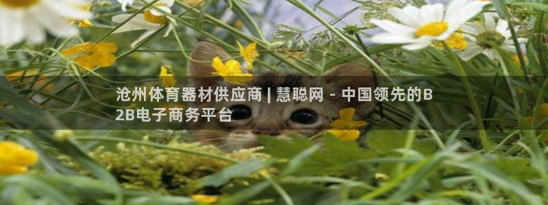 极悦平台是正规平台吗安全吗可靠吗