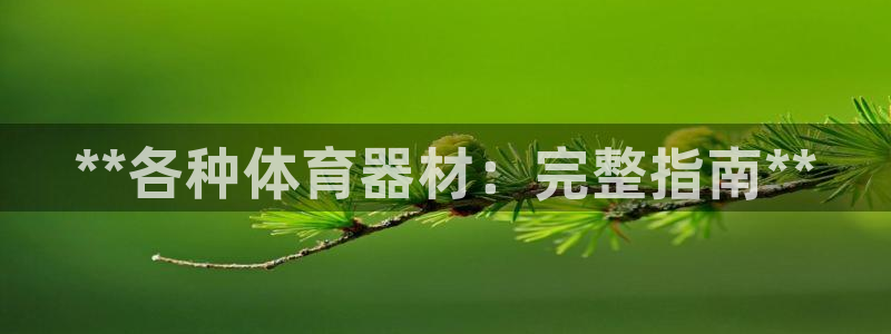 极悦平台是正规平台吗安全吗：**各种体育器材：完整指