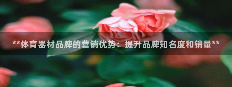 极悦平台客服团队名称：**体育器材品牌的营销优势：提
