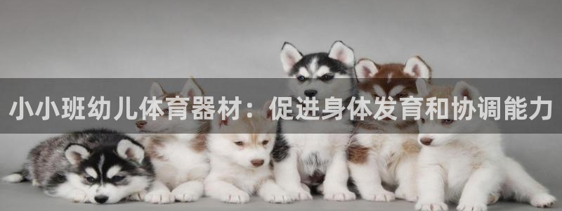极悦娱乐最新版本更新内容介绍：小小班幼儿体育器材：促