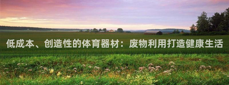 极悦平台登录方式有哪些：低成本、创造性的体育器材：废