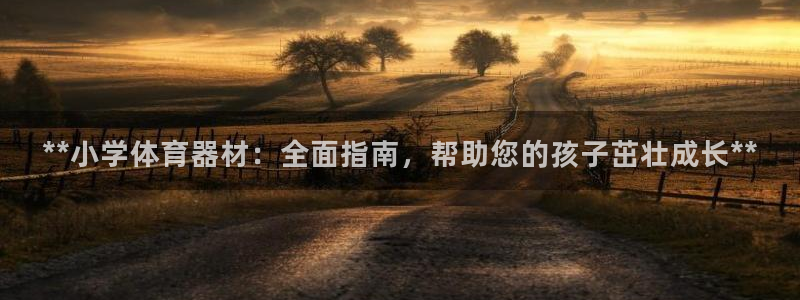 极悦平台客服的联系方式是：**小学体育器材：全面指南