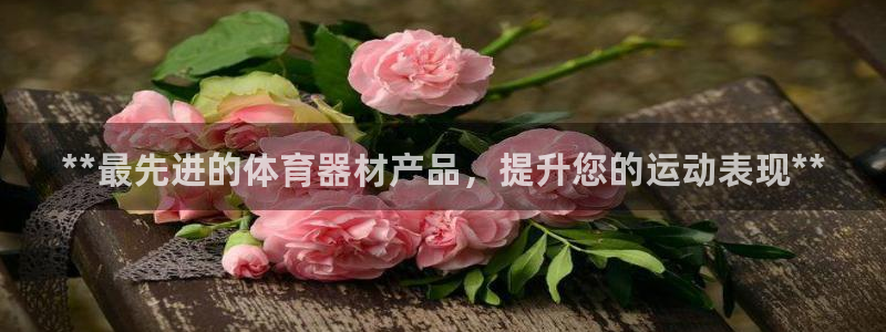 极悦娱乐公司最新招聘信息网：**最先进的体育器材产品