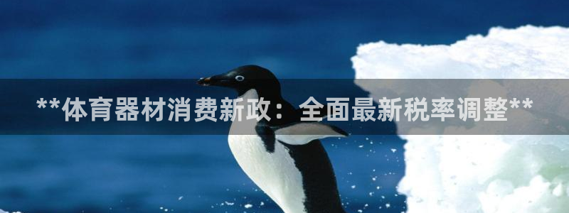 极悦平台注册用户名验证码是什么：**体育器材消费新政