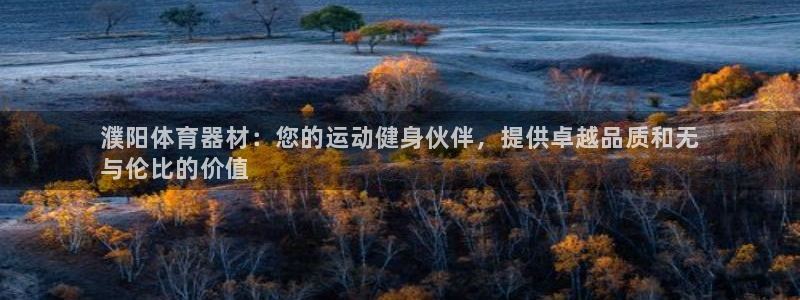 极悦平台城7O777：濮阳体育器材：您的运动健身伙伴