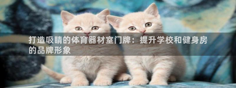 极悦平台客服的联系方式是多少：打造吸睛的体育器材室门
