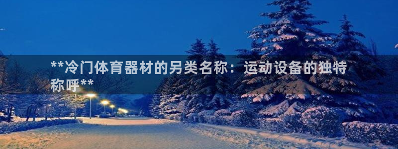 极悦官方网站：**冷门体育器材的另类名称：运动设备的