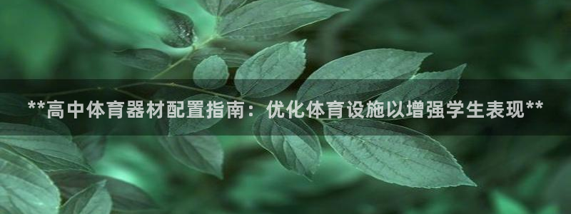 极悦平台登录方式：**高中体育器材配置指南：优化体育