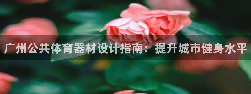 极悦官方网站入口网址大全：广州公共体育器材设计指南：