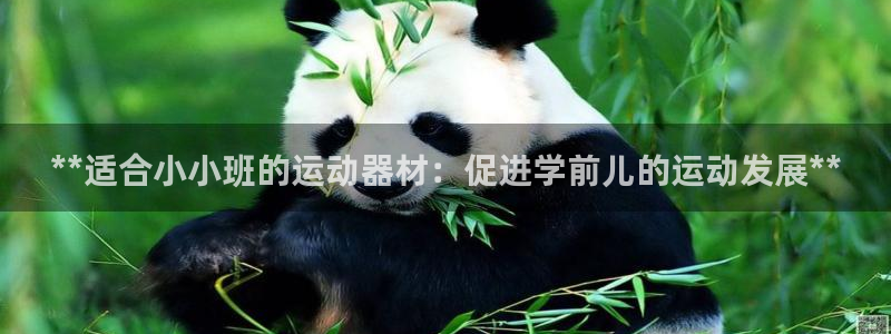 极悦娱乐挂机赚钱是真的吗吗：**适合小小班的运动器材