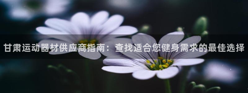 极悦平台官网登录不了了：甘肃运动器材供应商指南：查找