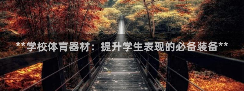 极悦生活家是什么平台的产品：**学校体育器材：提升学