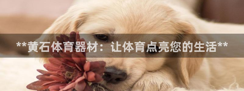极悦平台注册用户名格式是什么：**黄石体育器材：让体
