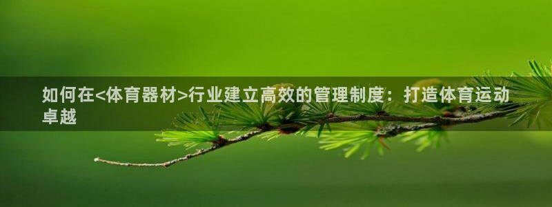 加盟极悦教育多少钱