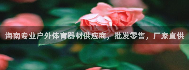 极悦平台登录方式：海南专业户外体育器材供应商，批发零