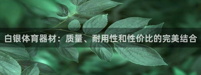 极悦娱乐代理人是谁呀：白银体育器材：质量、耐用性和性