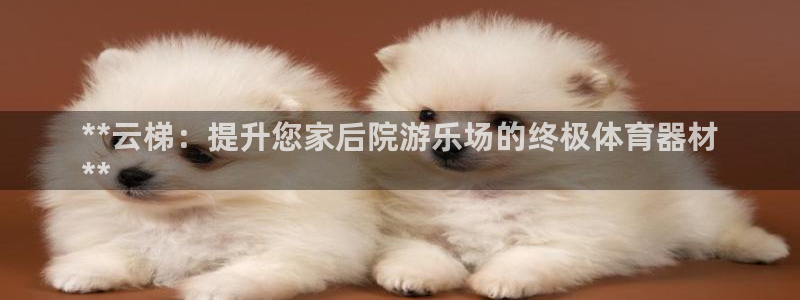 极悦娱乐下载官网安装：**云梯：提升您家后院游乐场的