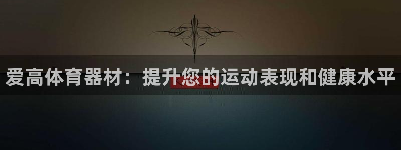 极悦娱乐股东名单：爱高体育器材：提升您的运动表现和健