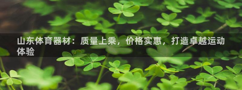极悦平台官网入口：山东体育器材：质量上乘，价格实惠，