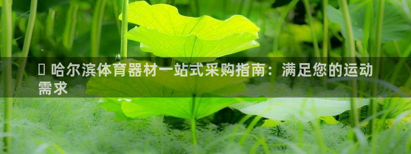 极悦平台是什么公司：▷ 哈尔滨体育器材一站式采购指南