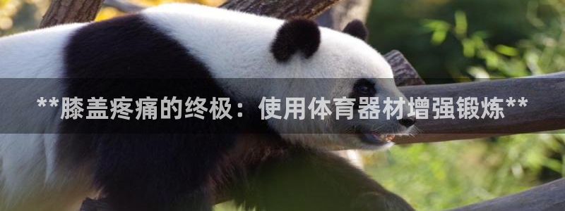 极悦平台是干嘛的：**膝盖疼痛的终极：使用体育器材增