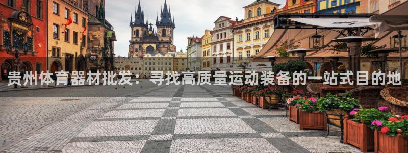 极悦平台注册失败如何解决问题：贵州体育器材批发：寻找