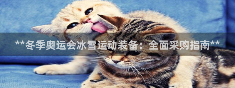 极悦平台用户评价与反馈：**冬季奥运会冰雪运动装备：