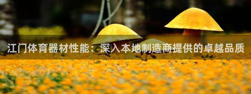 极悦娱乐登录拒绝访问怎么办啊：江门体育器材性能：深入