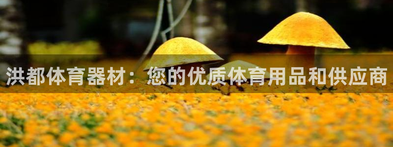 极悦益生菌猫粮怎么样：洪都体育器材：您的优质体育用品