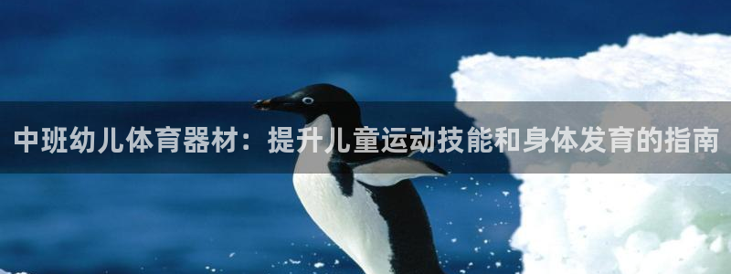 极悦平台告7O777：中班幼儿体育器材：提升儿童运动