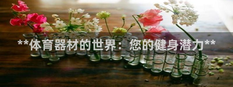 极悦娱乐创始人背景故事是什么：**体育器材的世界：您
