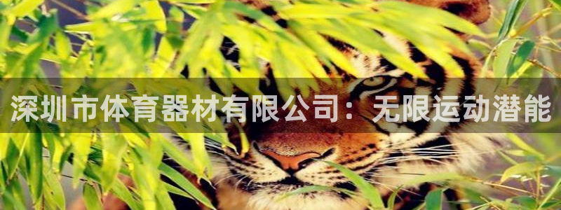 极悦娱乐官方网站首页：深圳市体育器材有限公司：无限运