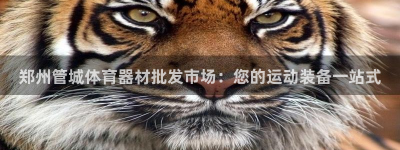 极悦娱乐的创始人背景故事是什么：郑州管城体育器材批发