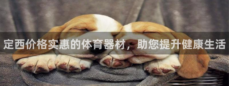 极悦娱乐挂机赚钱是真的吗安全吗：定西价格实惠的体育器