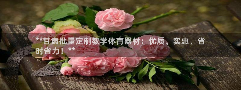 极悦平台是干嘛的公司：**甘肃批量定制教学体育器材：