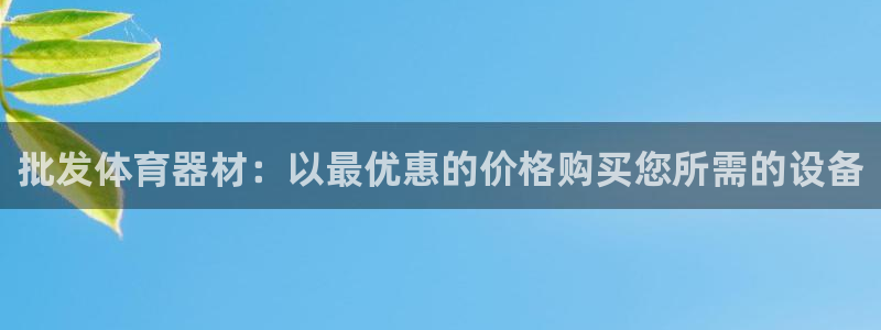 极悦平台注册失败如何解决方法：批发体育器材：以最优惠