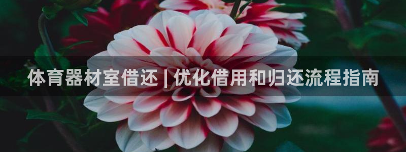 极悦平台登录不进去怎么回事：体育器材室借还 | 优化